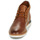 Chaussures Homme Boots Aldo FORESTGRIP Marron